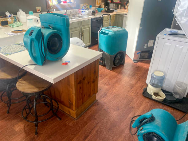 Best Professional water damage repair  in Big Bear Lake, CA