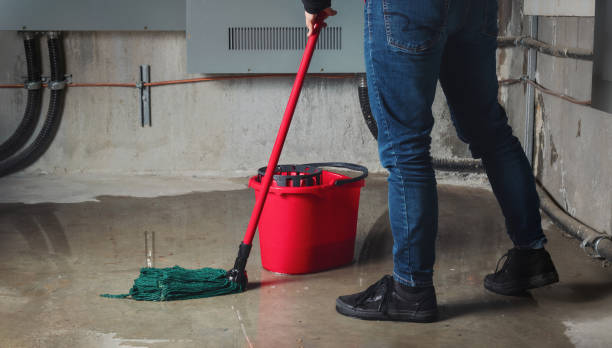 Best Water damage restoration near me  in Big Bear Lake, CA