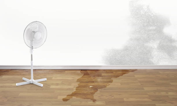  Big Bear Lake, CA Water damage restoration Pros