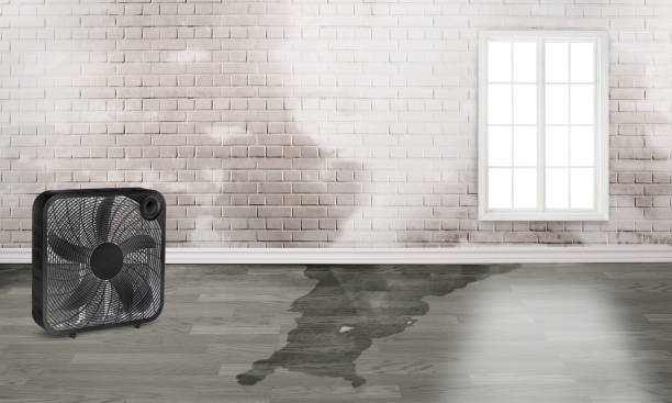 Professional Water damage restoration in Big Bear Lake, CA