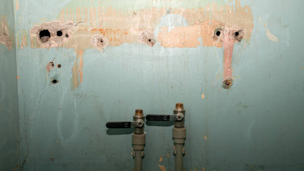 Best Flooded house restoration  in Big Bear Lake, CA
